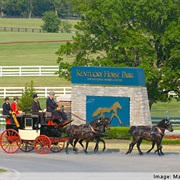 Kentucky Horse Park - Lexington, KY