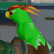 Parrot (Super Mario)