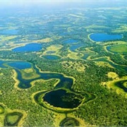 Parque Nacional Do Pantanal Matogrossense