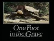 One Foot in the Xmas Grave