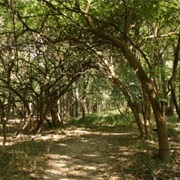 Eldon Hazlet State Recreation Area, Illinois