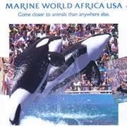 USA/Africa in California