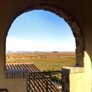 Jacuzzi Family Vineyards, Sonoma