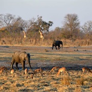 Hwange, Zimbabwe