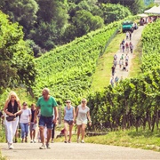 Stuttgarter Weinwanderweg