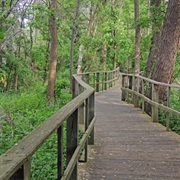 Magee Marsh Wildlife Area, Ohio