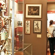 International Museum of Surgical Science (Chicago, IL)