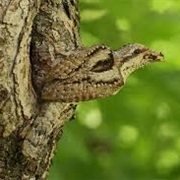 Swietokrzyski National Park, Poland