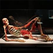 Our Body: The Universe Within