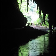 Guacharo Caves, Venezuela