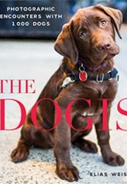 The Dogist (Elias Weiss Friedman)