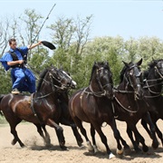 Lazar Equestrian Park in Hungary