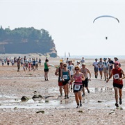 You Can Walk on the Ocean Floor in Canada
