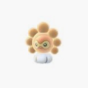 Sunny Castform