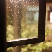 The Sound of Rain Through an Open Window