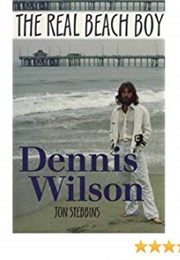 The Real Beach Boy (Jon Stebbins)