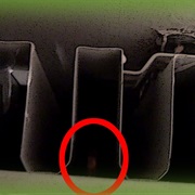 Unknown Creature Living Behind Radiator