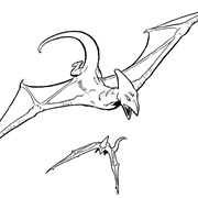 Pterosaur