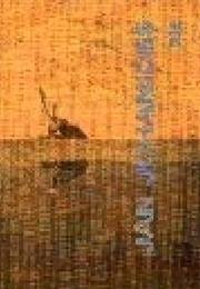 Ján Johanides – Nie