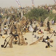 Argungu Fishing Festival, Nigeria