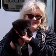 Playing With Sled Dog Puppies