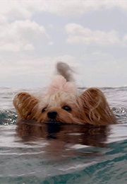 Kelly as Pippin (The Meg) (2018)