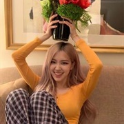 Rosé