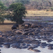 Katavi National Park, Tanzania