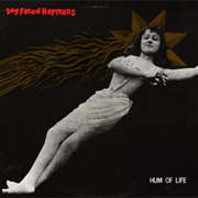 Dog Faced Hermans - Hum of Life