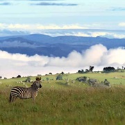 Nyika National Park, Malawi