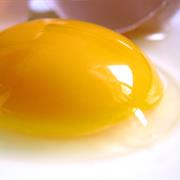 Yolk