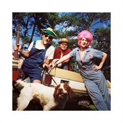 Southern Culture on the Skids