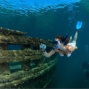 Snorkle/Scuba Tobermory Bay, ON