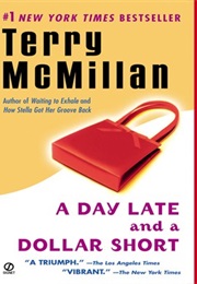 A Day Late and a Dollar Short (Terry McMillan)