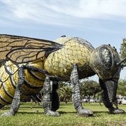 World&#39;s Largest Killer Bee, Hidalgo, TX