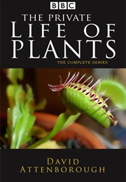 The Private Life of Plants (David Attenborough)