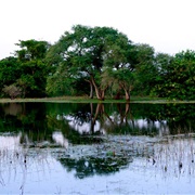 Parque Nacional Das Ilhas De Orango, Guinea-Bissau