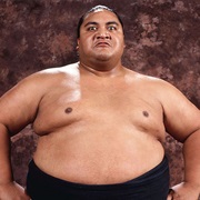 Yokozuna