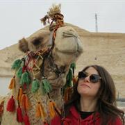 Camel Rides
