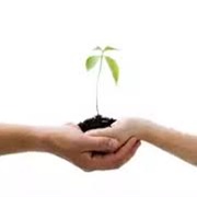 Watch Relationships Grow