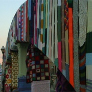 International Yarn Bombing Day, Lethbridge, Alberta