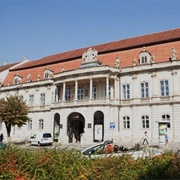 Art Museum of Cluj