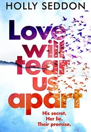 Love Will Tear Us Apart (Holly Seddon)