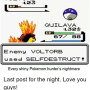 Wild Shiny Pokemon Used Self-Destruct