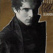 Miguel Bosé - Salamandra