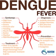 Dengue Fever