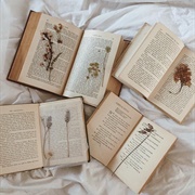 Read a Book in Spanish