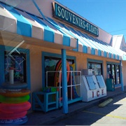 Newbie's Trading Company