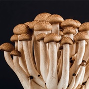 #76:  Appetizers and Snacks:  In-Lieu-Of-Crab Wontons