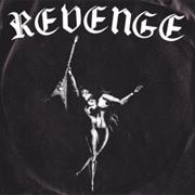 Revenge - Light a Light